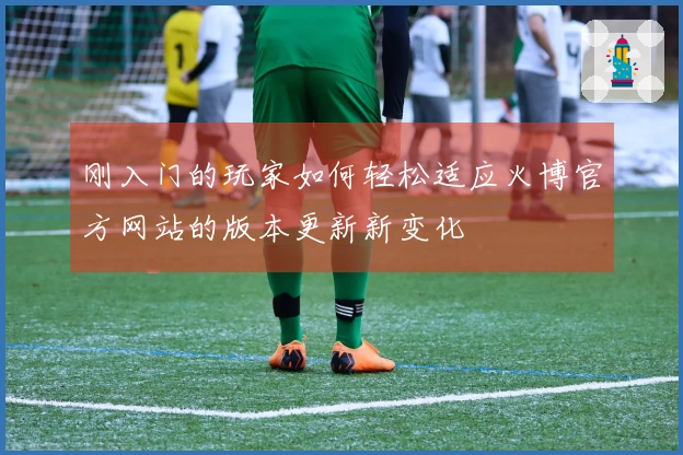 刚入门的玩家如何轻松适应火博官方网站的版本更新新变化