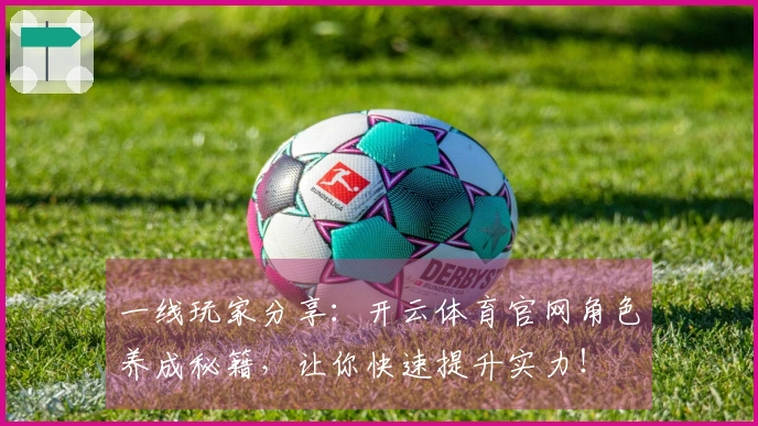 一线玩家分享：开云体育官网角色养成秘籍，让你快速提升实力！