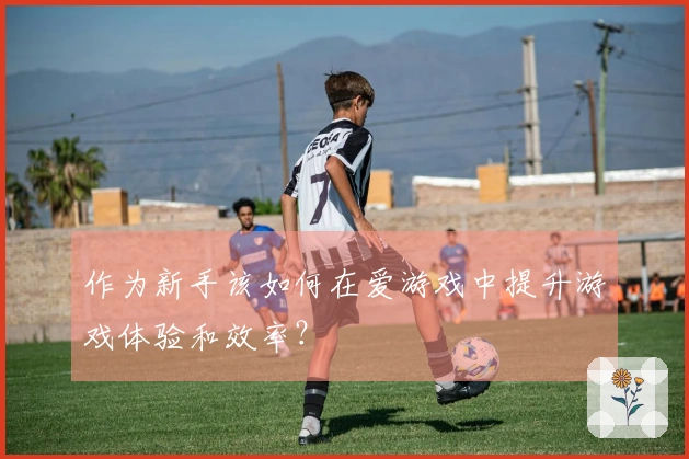 作为新手该如何在爱游戏中提升游戏体验和效率？