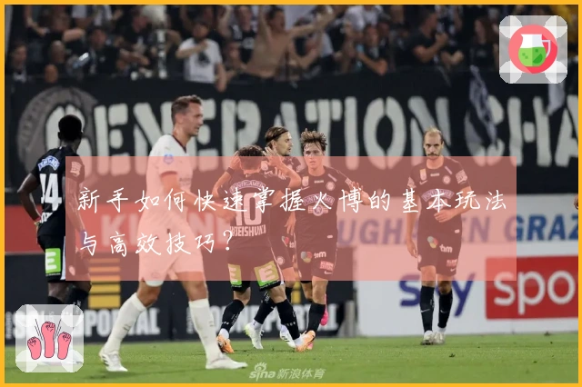 新手如何快速掌握火博的基本玩法与高效技巧？