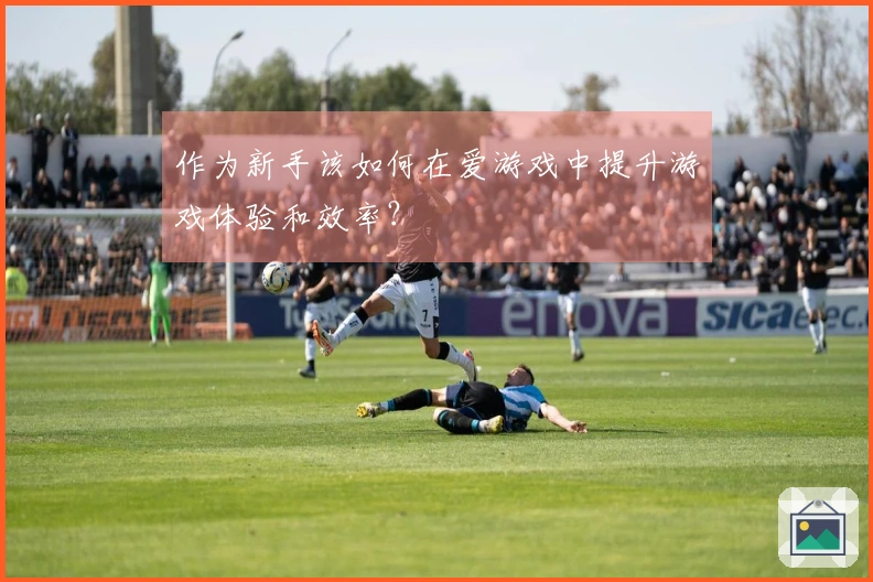 作为新手该如何在爱游戏中提升游戏体验和效率？