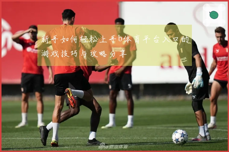 新手如何轻松上手b体育平台入口的游戏技巧与攻略分享